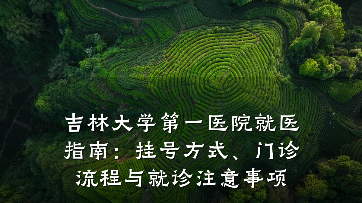 吉林大学第一医院就医指南:挂号方式、门诊流程与就诊注意事项
