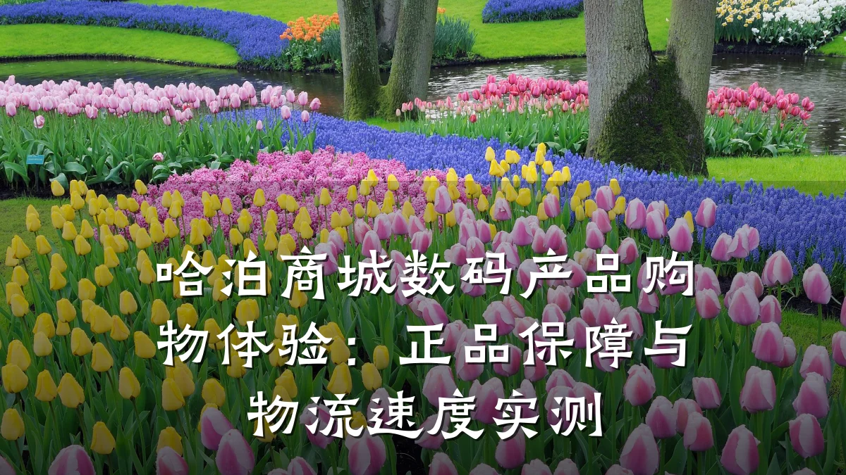 哈泊商城数码产品购物体验：正品保障与物流速度实测