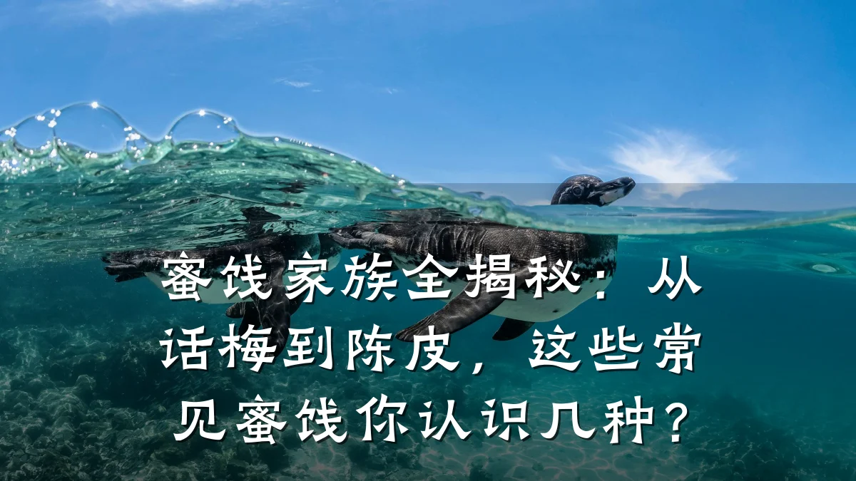 蜜饯家族全揭秘:从话梅到陈皮,这些常见蜜饯你认识几种?
