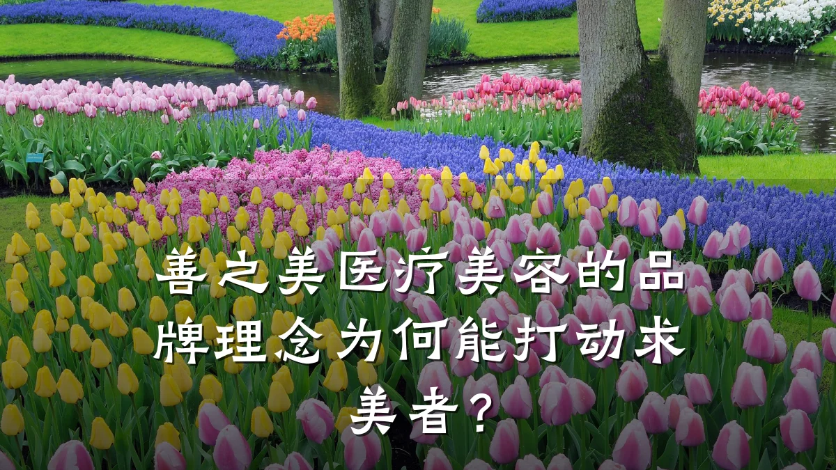 善之美医疗美容的品牌理念为何能打动求美者?