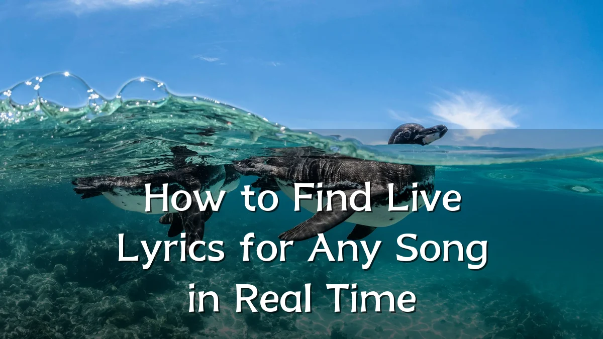 How to Find Live Lyrics for Any Song in Real Time