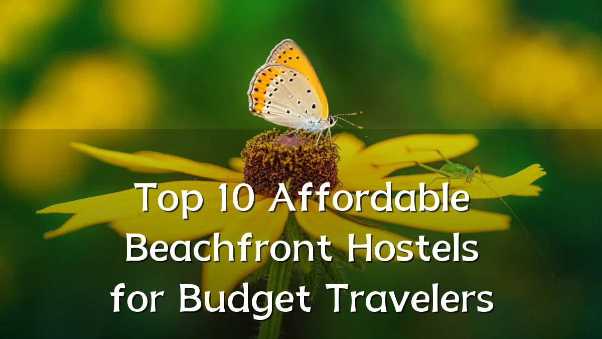Top 10 Affordable Beachfront Hostels for Budget Travelers