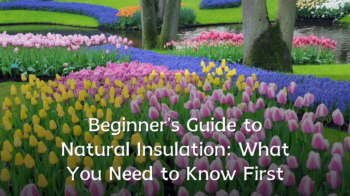 Beginner's Guide to Natural Insulation: What You Need to Know First
