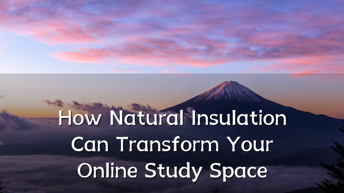 How Natural Insulation Can Transform Your Online Study Space