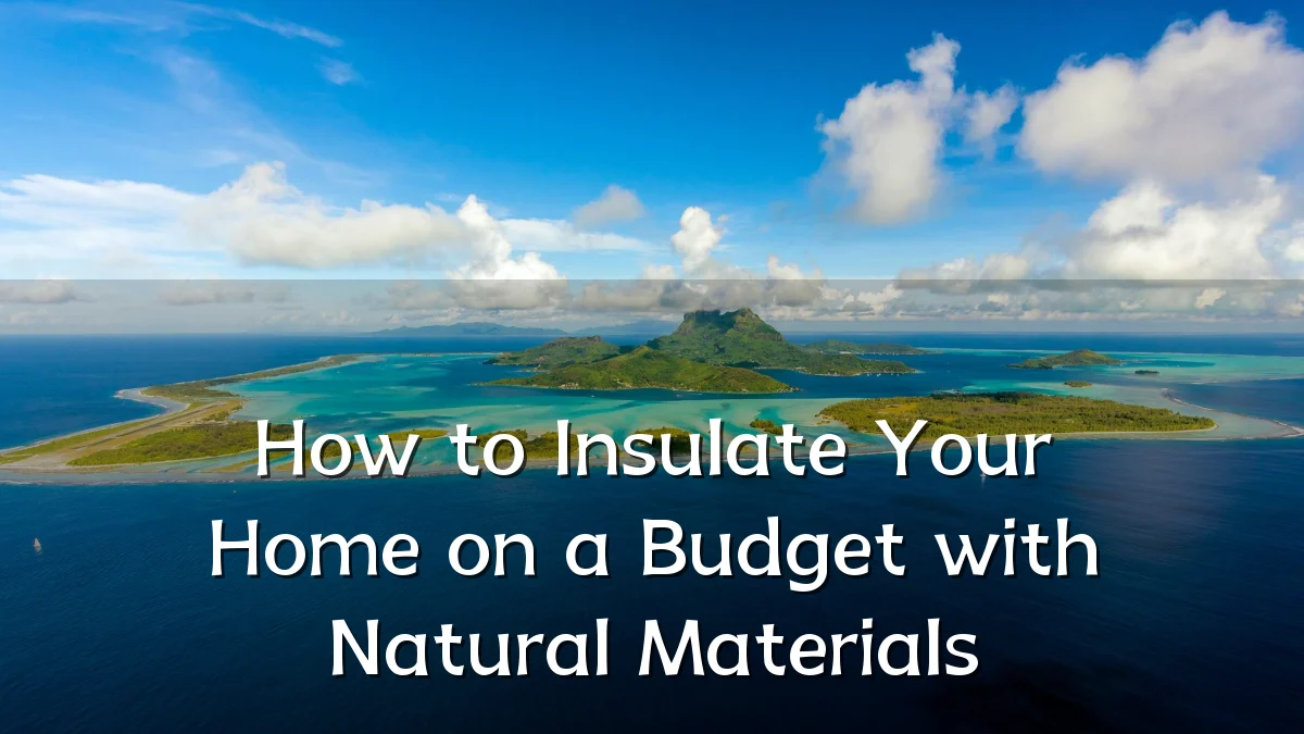 How to Insulate Your Home on a Budget with Natural Materials