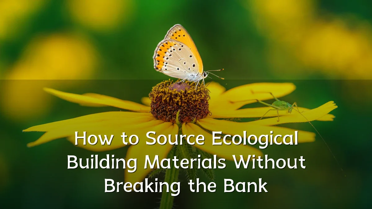 How to Source Ecological Building Materials Without Breaking the Bank