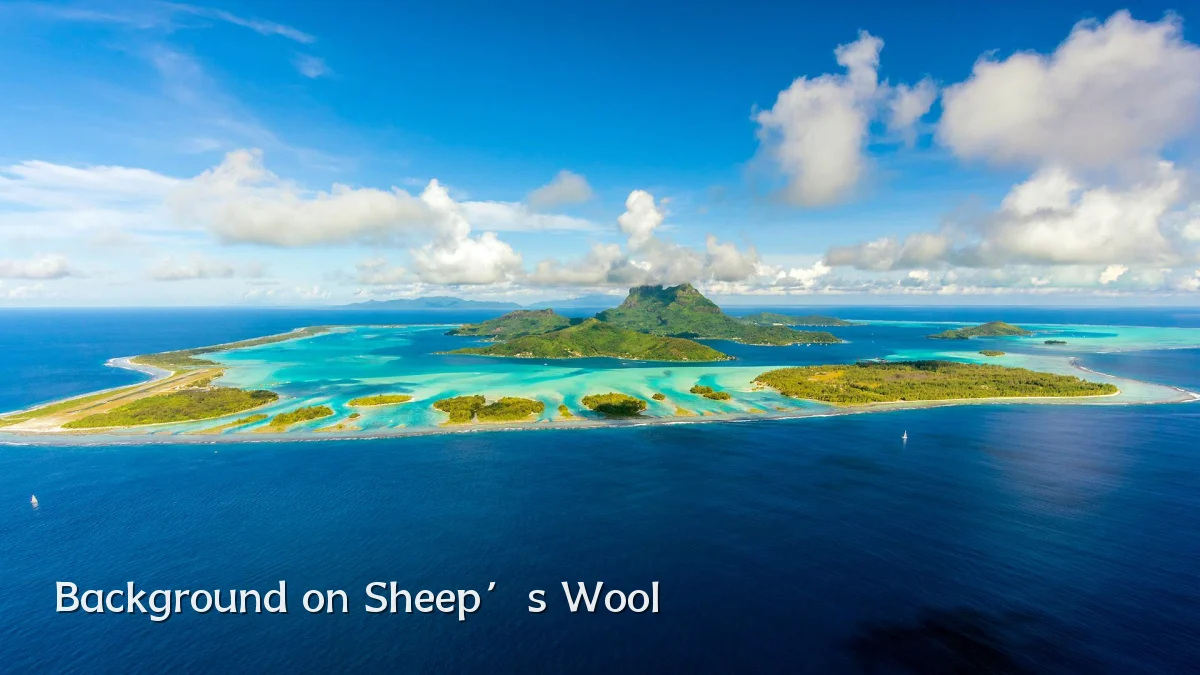 Background on Sheep’s Wool