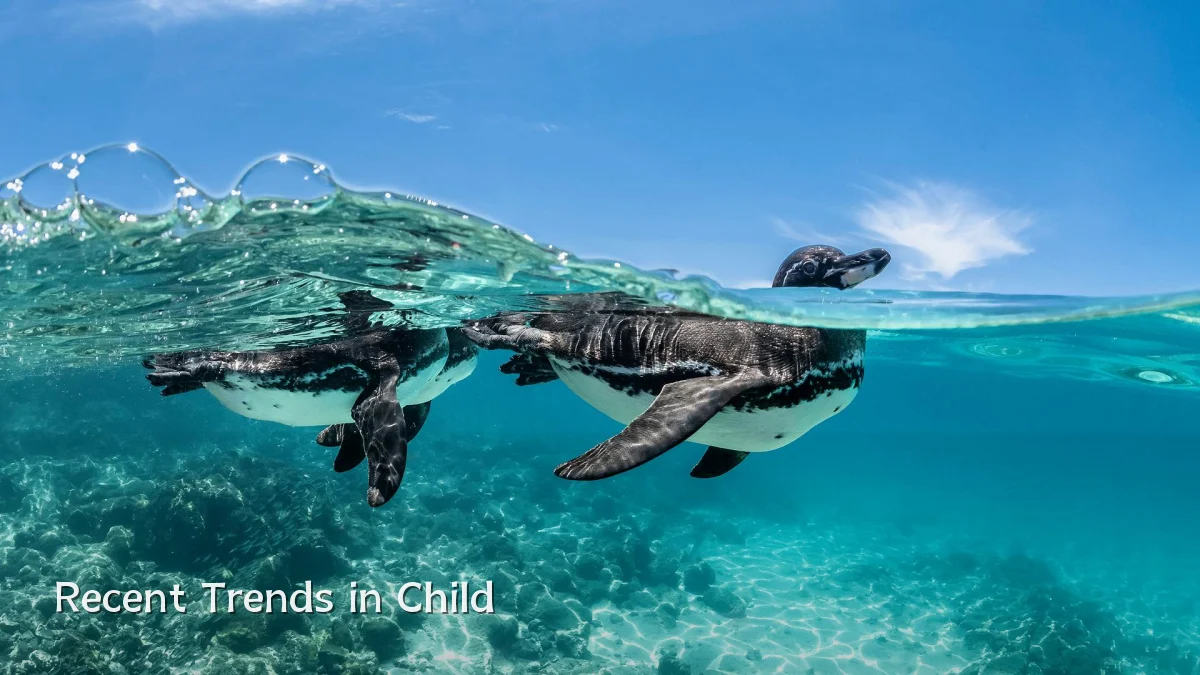 Recent Trends in Child