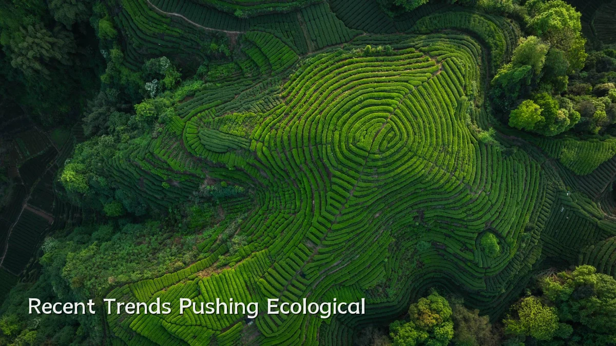 Recent Trends Pushing Ecological