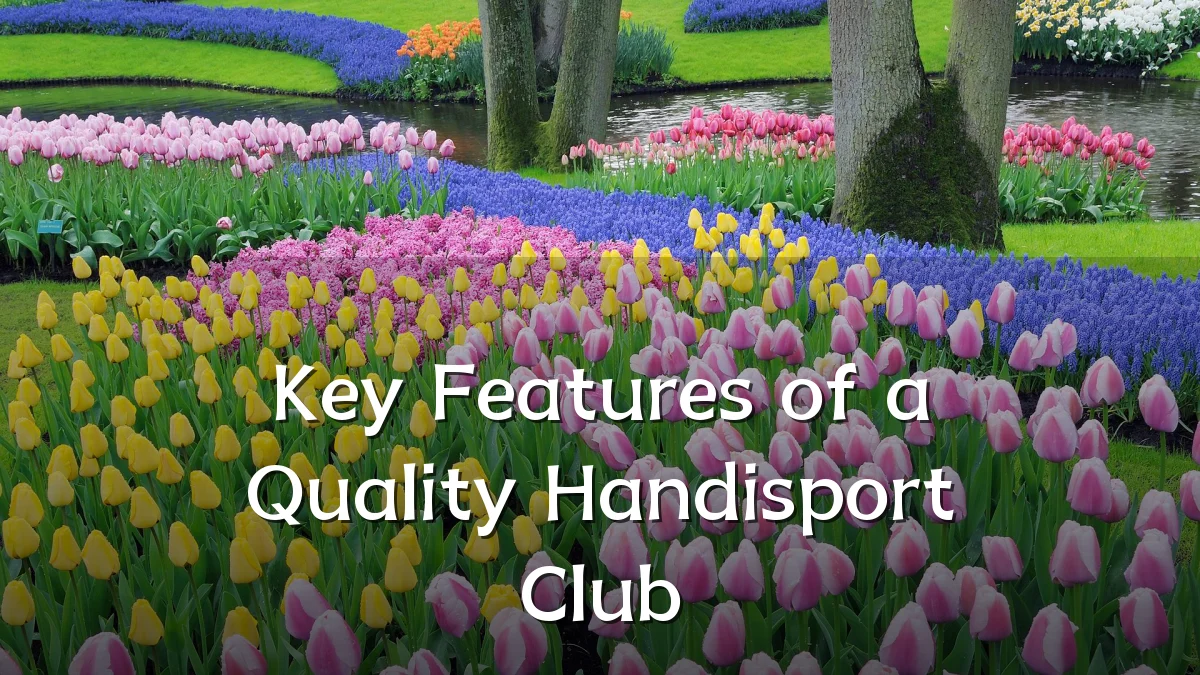 Key Features of a Quality Handisport Club