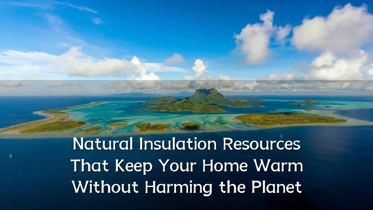 Natural Insulation Resources That Keep Your Home Warm Without Harming the Planet