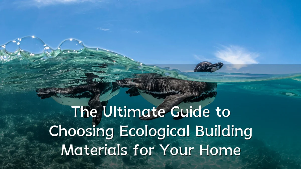 The Ultimate Guide to Choosing Ecological Building Materials for Your Home
