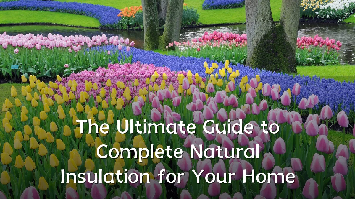 The Ultimate Guide to Complete Natural Insulation for Your Home
