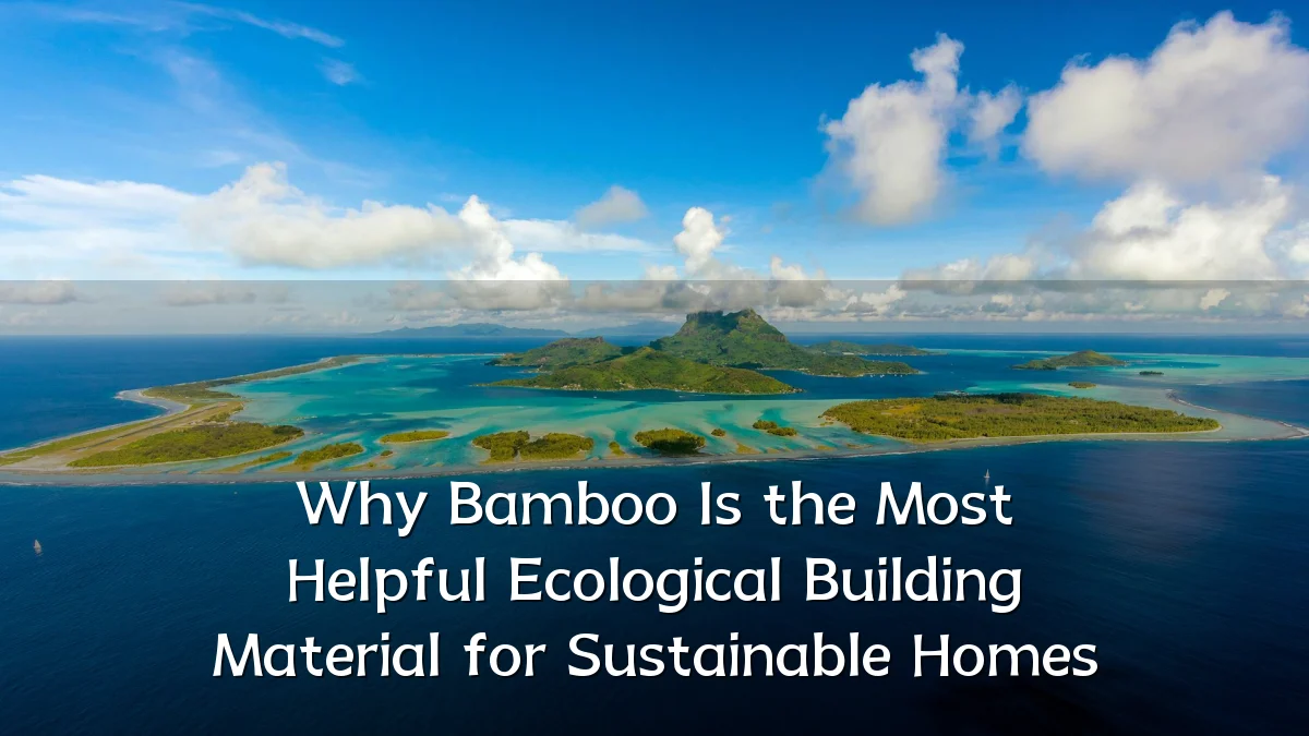 Why Bamboo Is the Most Helpful Ecological Building Material for Sustainable Homes