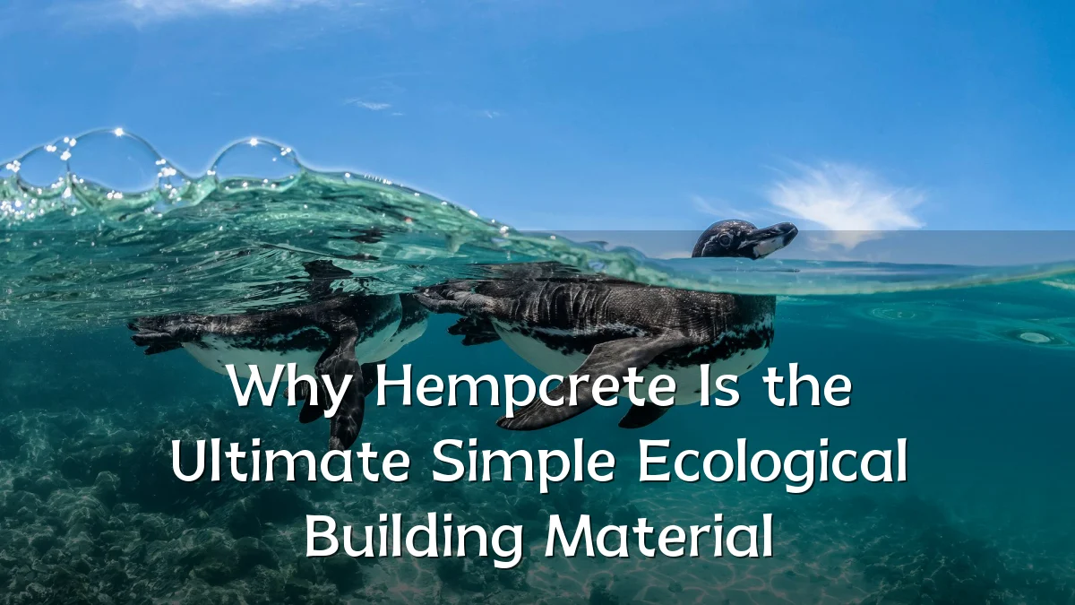 Why Hempcrete Is the Ultimate Simple Ecological Building Material