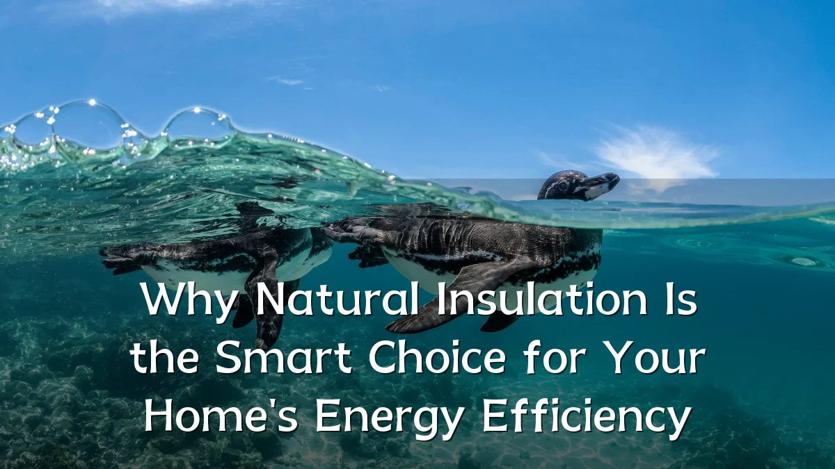 Why Natural Insulation Is the Smart Choice for Your Home's Energy Efficiency