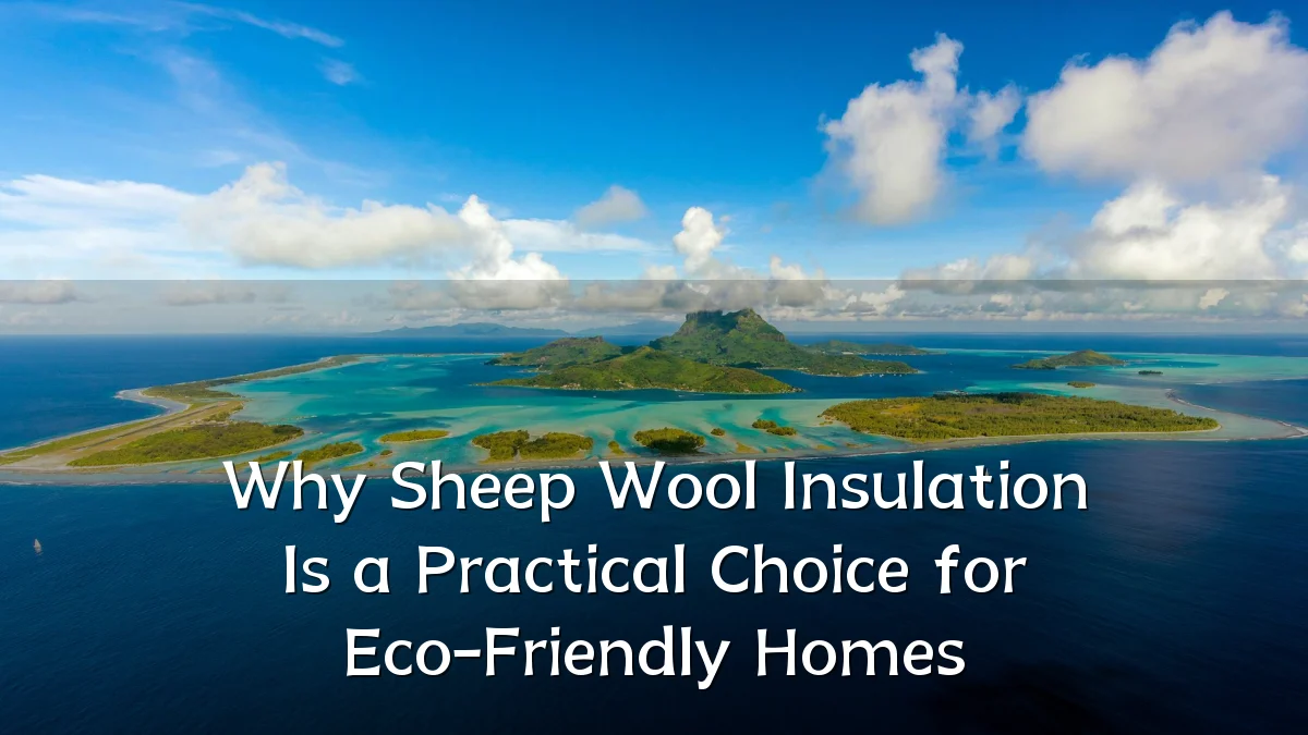 Why Sheep Wool Insulation Is a Practical Choice for Eco-Friendly Homes
