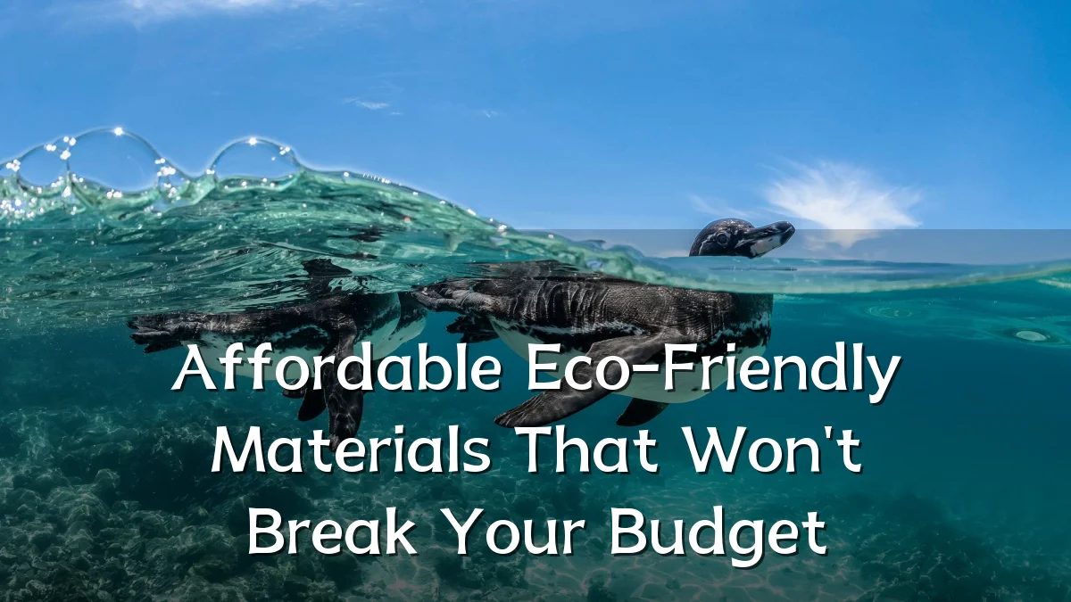 Affordable Eco-Friendly Materials That Won't Break Your Budget