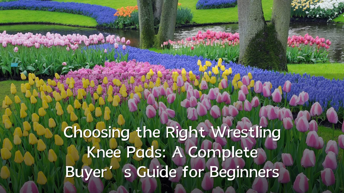 Choosing the Right Wrestling Knee Pads: A Complete Buyer’s Guide for Beginners