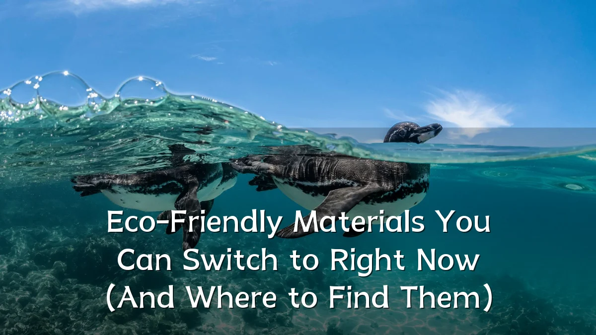 Eco-Friendly Materials You Can Switch to Right Now (And Where to Find Them)