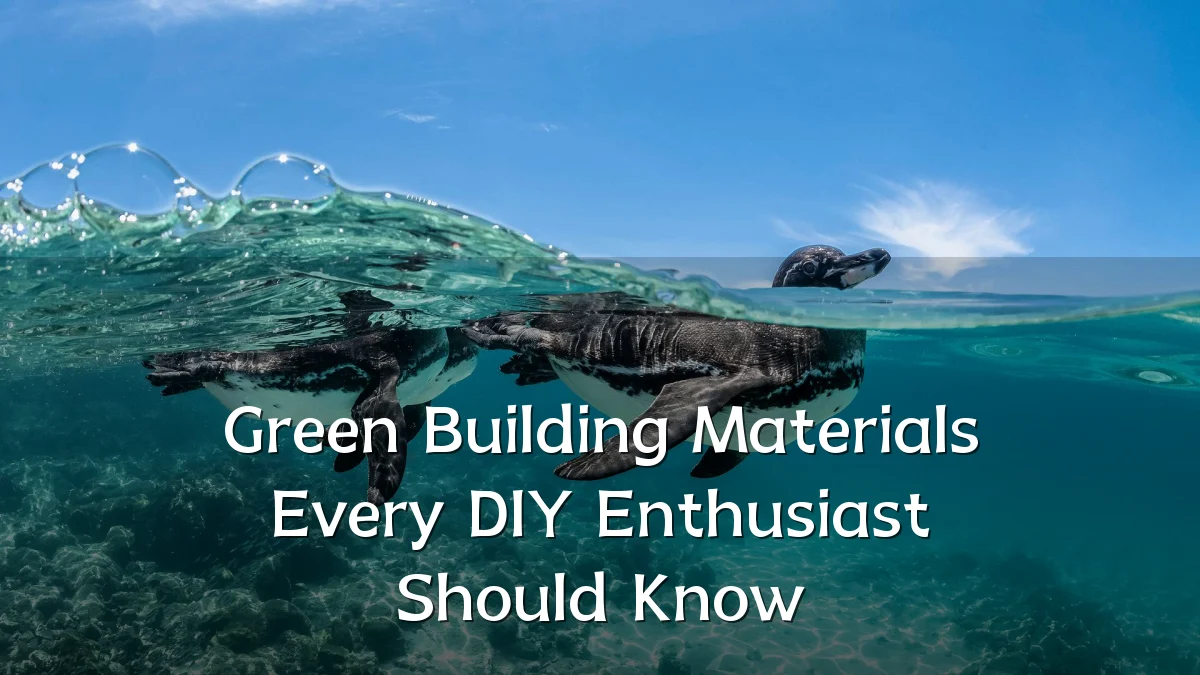 Green Building Materials Every DIY Enthusiast Should Know