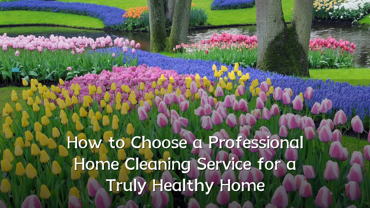 How to Choose a Professional Home Cleaning Service for a Truly Healthy Home
