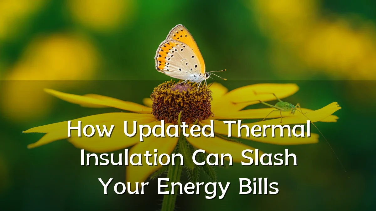 How Updated Thermal Insulation Can Slash Your Energy Bills