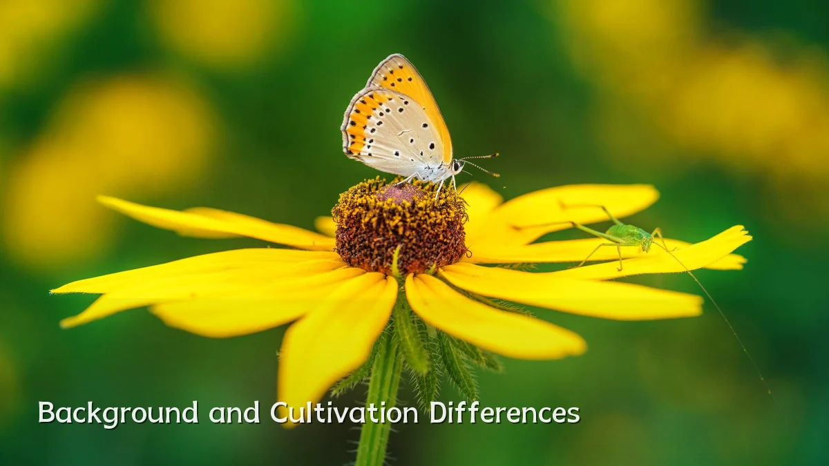 Background and Cultivation Differences