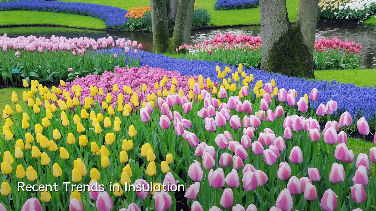 Recent Trends in Insulation