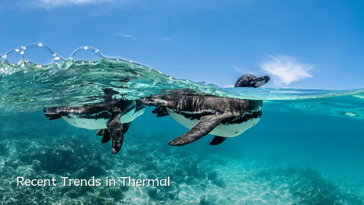 Recent Trends in Thermal