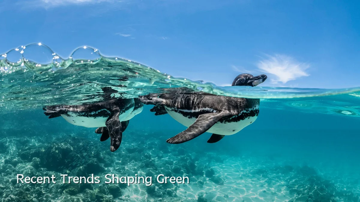 Recent Trends Shaping Green