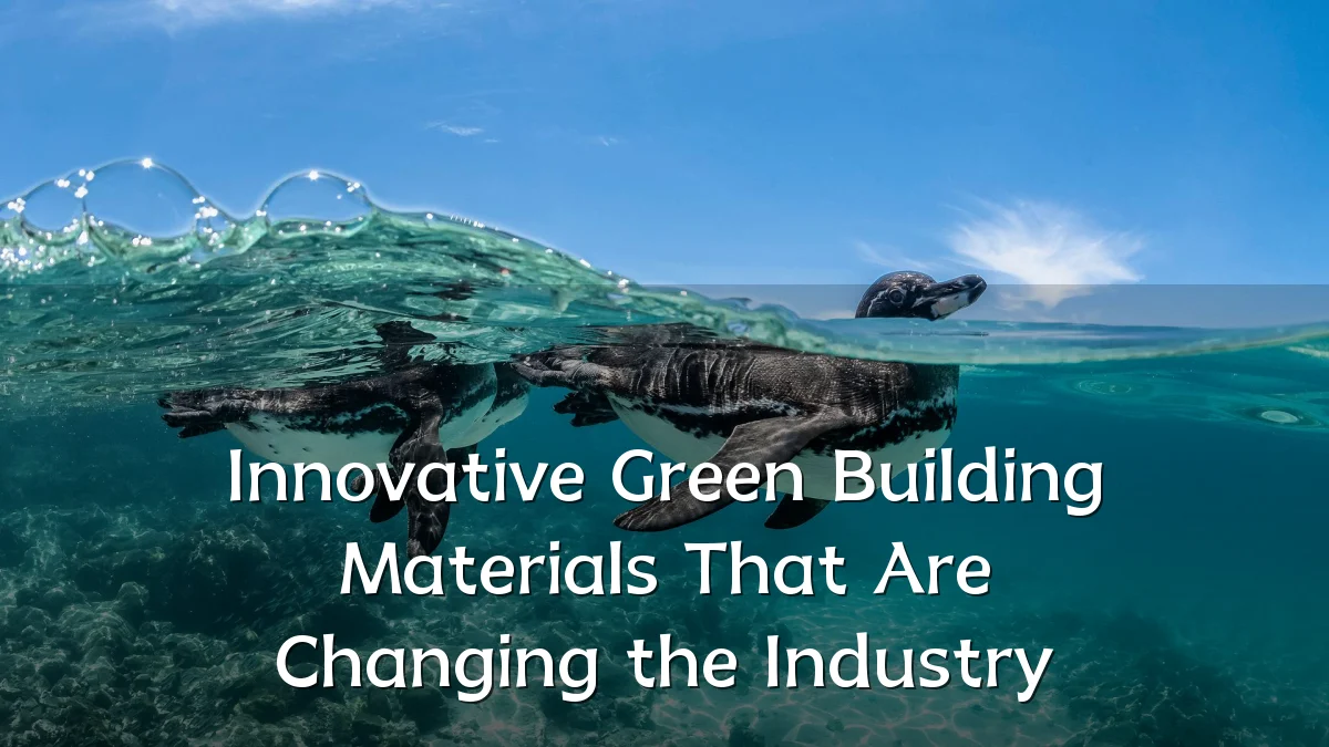 Innovative Green Building Materials That Are Changing the Industry