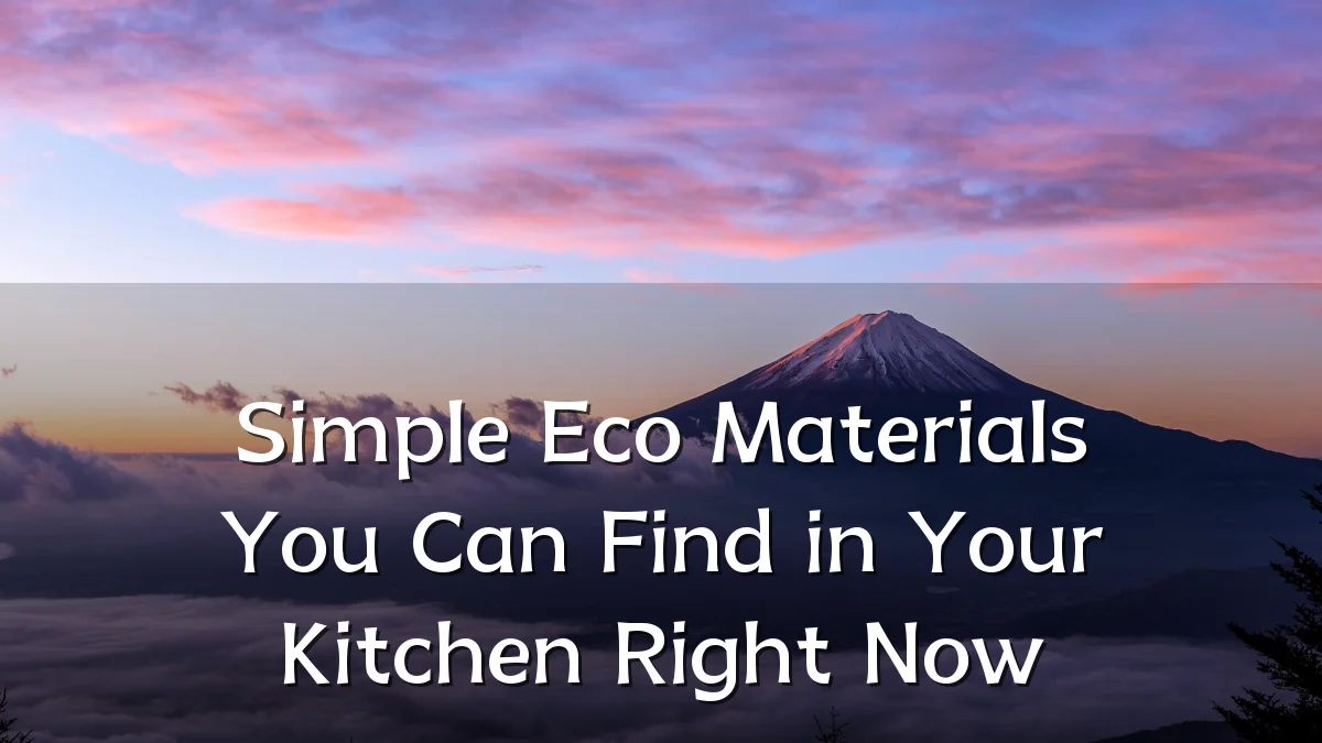 Simple Eco Materials You Can Find in Your Kitchen Right Now