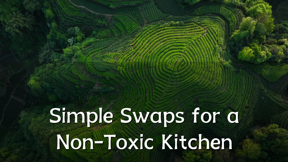Simple Swaps for a Non-Toxic Kitchen