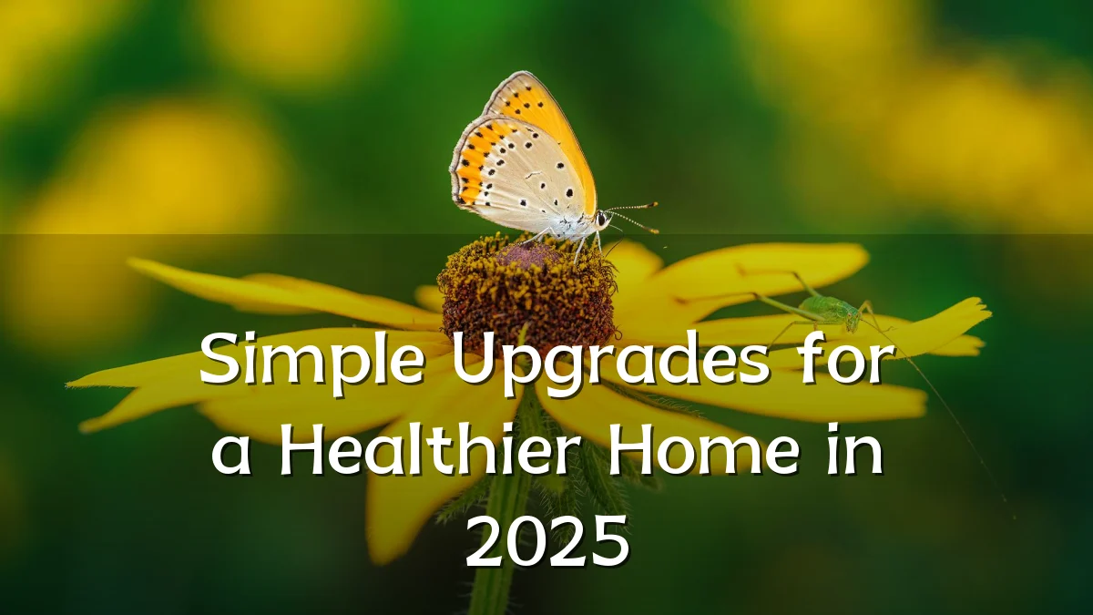 Simple Upgrades for a Healthier Home in 2025