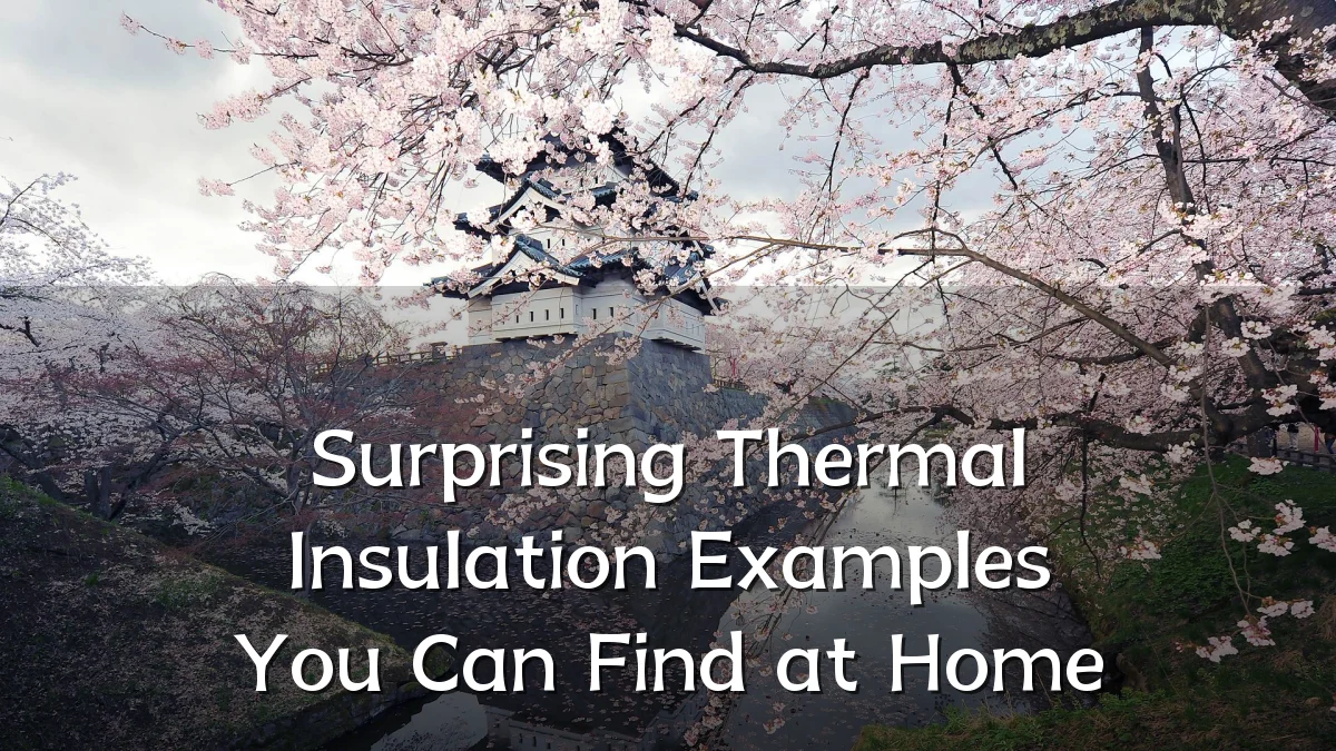 Surprising Thermal Insulation Examples You Can Find at Home