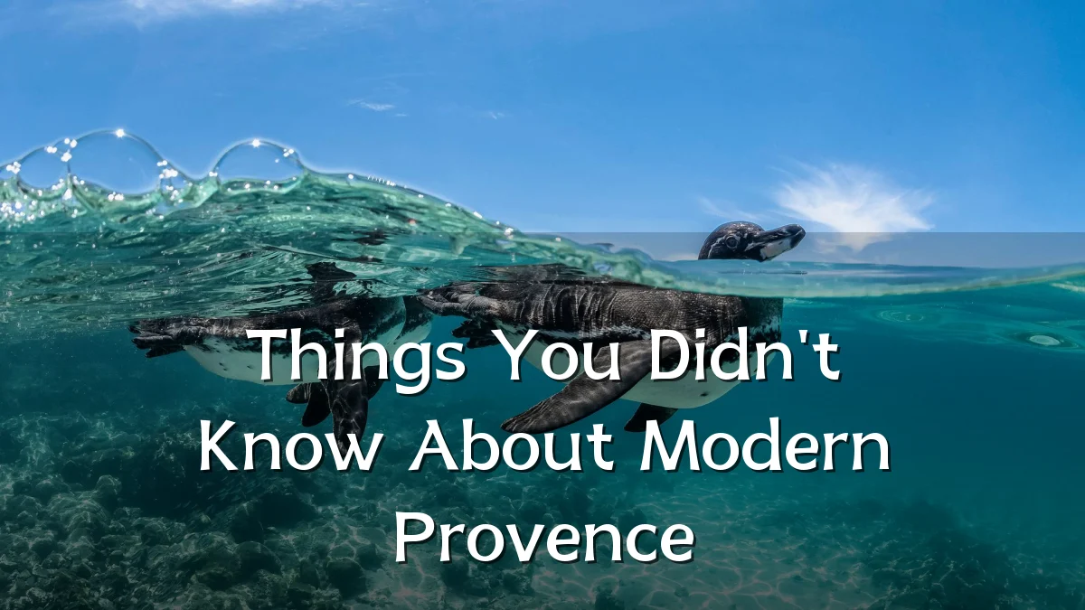 Things You Didn't Know About Modern Provence
