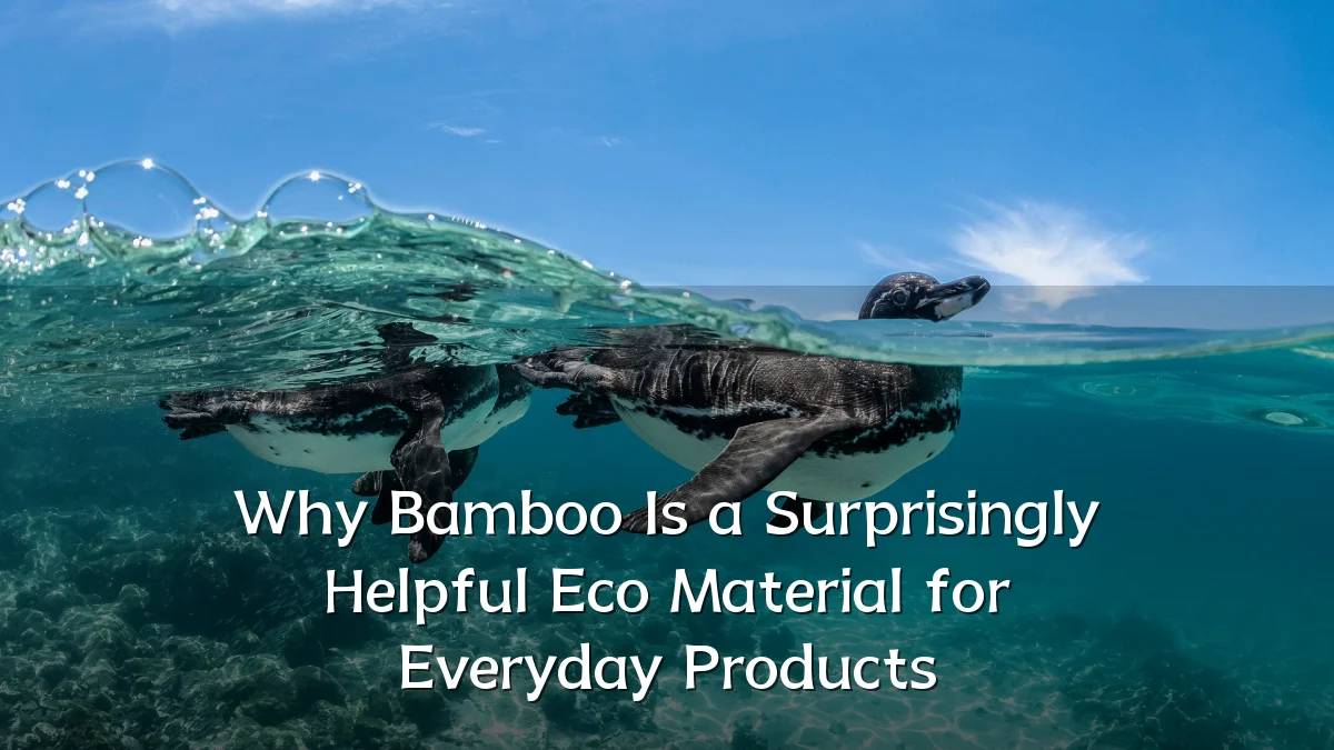 Why Bamboo Is a Surprisingly Helpful Eco Material for Everyday Products