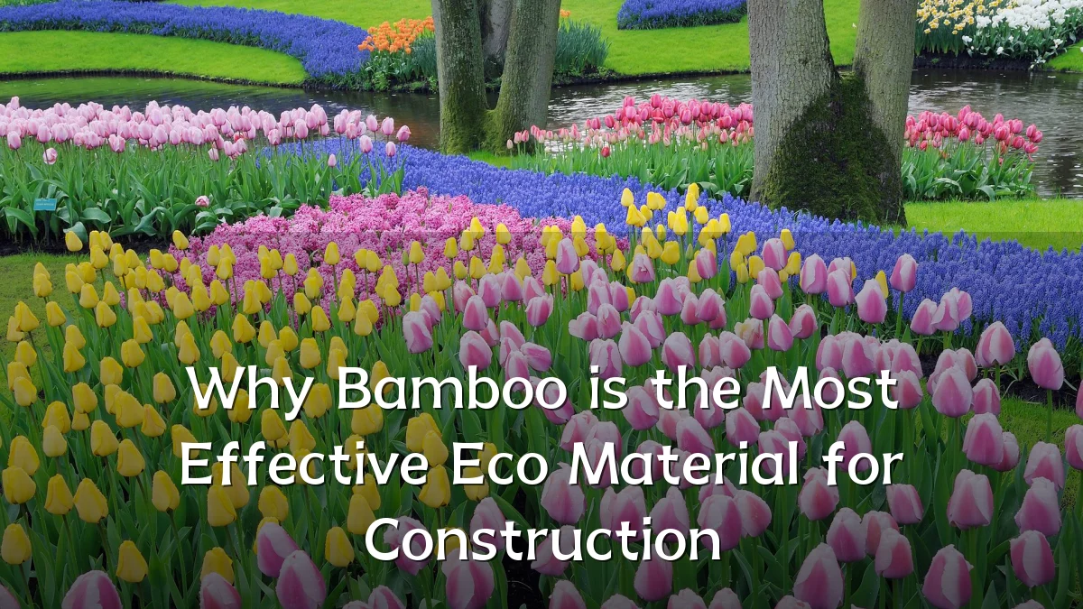 Why Bamboo is the Most Effective Eco Material for Construction