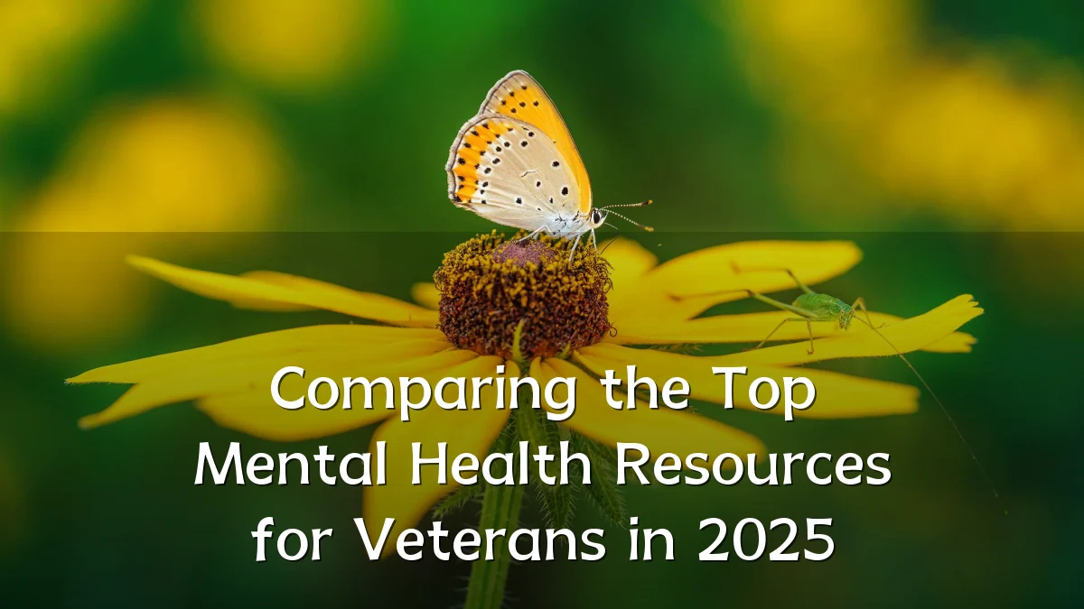 Comparing the Top Mental Health Resources for Veterans in 2025