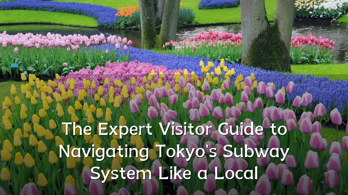 The Expert Visitor Guide to Navigating Tokyo's Subway System Like a Local